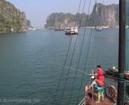 Cau Ca Ha Long